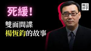 习近平对两面人下狠手，杨恒钧死缓！爱国粉红嫁给反贼大V润出国，中共加速清洗白区党...