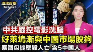 泰国包机坠毁全机罹难 含五名中国公民；美中交恶 好莱坞渐与中国市场脱钩；DNC最后一天 贺锦丽承诺做所有美国人的总统；新西兰外长警告：南太平洋岛国安全隐忧【 #环球直击 】｜ #新唐人电视台