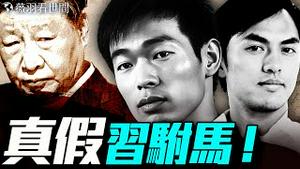 习驸马是他？三个版本哪个是真？秦玥乐如何「逆袭」成为中国第一驸马？｜薇羽看世间 20250607
