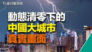 野蛮撬锁入室消杀；造假解封被揭穿，芳草萋萋上海瘫；北京街道消杀似地狱，天津万人转运似逃荒。｜薇羽分享 20220518