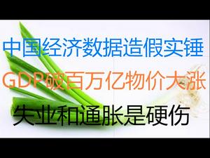 财经冷眼：GDP破百万亿为何百姓吃不起大葱？中国经济数据造假实锤！通胀、消费、失业都是硬伤！（20210119第443期）