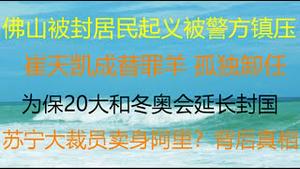 财经冷眼：佛山被封居民起义被警方镇压！苏宁大裁员卖身阿里？背后真相！崔天凯成替罪羊孤独卸任！ 为保20大延长封国，风声鹤唳！（20210623第561期）