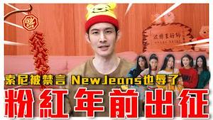 尼辱华了！墙内提到这字就被封？｜南韩女团NewJeans被出征｜粉红特报008期｜波特王好帅