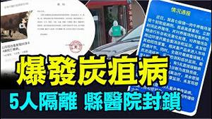 「山东阳谷县 数白头牛被扑杀 ⋯ 网传牛肉流入市场」#炭疽病