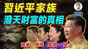 习近平家族泼天财富知多少？真相和想像力的天花板，哪个先到？（文昭谈古论今20260204第1659期）