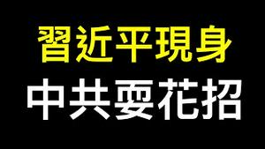 中共耍什么招数？习近平现身，三中全会结束！