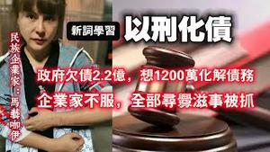 【新词学习】以刑化债。政府欠债2.2亿，想1200万化解债务。企业家不服，全部寻衅滋事被抓。2024.02.27NO2204