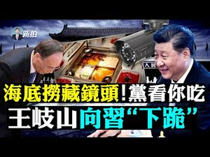 ?习公开否定武统？博鳌上说“不扩张”；紧张！美军机紧贴山东飞行，几小时才走；美军刚要撤，共军：我来管阿富汗；台湾向美要重要兵器；温哥华海底捞偷拍，画面传中国；俄20万兵临乌克兰｜新闻拍案惊奇 大宇