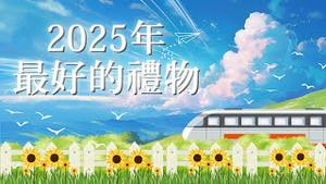 《向阳而行》 #真观点 #真飞