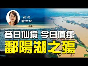 【第81期】鄱阳湖，长江下游的最大蓄水池告急！都江堰的智慧 ，世界唯一无坝水利工程2000年无恙| 薇羽看世间 20200714