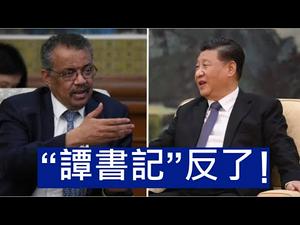 “谭书记”反了，向习近平捅刀！美中世卫三角关系正在发生变化！ （一平论政2021/3/31)