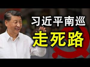 习近平南巡走死路；三个好时机全错过，内循环恶果已凸现；川普会突袭访台？（政论天下第248集 20201013）