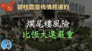 碧桂园宣布债务实质违约，碧桂园会制造多少烂尾楼？共产党救银行为何不救房企？米国路边社 [20231011#484]