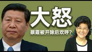 蔡霞欢呼被开除党籍！习近平内循环遭遇重挫，提倡饥饿感；黎智英撒泪担心家人变人质（老北京茶馆/第362集/2020/08/17）