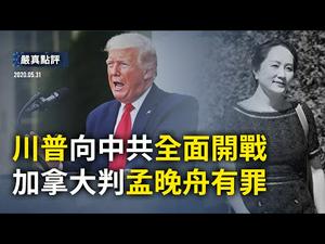 【严真点评】外交部大实话｜川普向中共开战，「间谍学者」遭遣返，中南海措手不及。|大陆新闻解毒654期