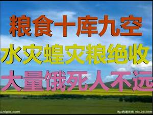 财经冷眼： 粮仓十库九空，水灾蝗灾粮食大绝收，大饥荒不远了！（20200715第284期）