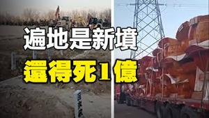 🔥🔥尸袋难求 赶建火化炉❗遍地是新坟 还得死1亿❗【被黄标】