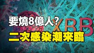 🔥🔥要烧8亿人❓火葬场未烧完尸骨扔垃圾堆❗二次感染潮来临 民众疯抢纸尿裤❗