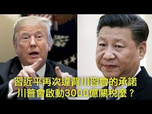 习近平再次违背川习会的承诺，收不到大豆款的川普会启动3000亿关税么？美国国旗誓言的纠纷与缘由（川普推推推20190711第14期）