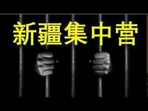 令人发指！绝密文件曝新疆集中营“总设计师”！民族仇恨深重，未来怎样化解？（一平论政204，2019/11/17）