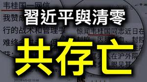 习近平与清零共存！两截图刷屏了…… ！