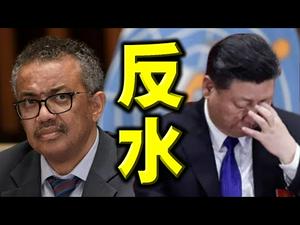 意外？谭德赛突然反水！左媒也态度大变。北京作弊遭识破。十四国痛批世卫报告