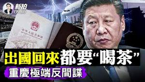 中国股市，你还敢往里跳吗？！进中国股市要三思，外企撤资砸盘，8月抛售创新高，权贵资金觅机逃离；重庆给每个市民发信，施行极端反间谍条例！外国人出入境掉73%；中共大力发展深伪技术｜新闻拍案惊奇 大宇