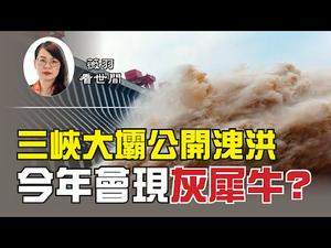 【第69期】中共官方今天承认三峡大坝今年首次洩洪，3.5万立方米/秒的洩洪量对长江中下游意味著什么？三峡工程会成为「灰犀牛」事件吗？| 薇羽看世间 20200630（字幕）