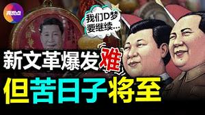 💥新文革2大诱因全具备, 但不会真正爆发! 习和毛比差在哪里, 他将把中国带向何方? 真正的苦日子将要来临! 真观点｜真飞【20210901】【160期】