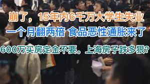 一个月内翻两倍，食品恶性通胀来了！崩了，15年内6000万大学生失业！600万买房定金不要也要违约，上海楼市跌进地狱！(20240815第1256期)