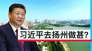 习近平去扬州做什么?/孙大午事件的再次警示/Xi Jinping's Purpose to Inspect Yangzhou/Sun Dawu Arrested/王剑每日观察/20201113