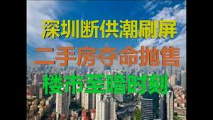 财经冷眼： 深圳断供潮刷屏！ 二手房夺命抛售，楼市至暗时刻！（20200603第247期）