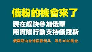 俄粉的机会来了！现在赶快参加俄军，用实际行动支持俄罗斯。俄罗斯向全球招募新兵，每月3000美金。2022.09.19NO1499#俄罗斯#普京