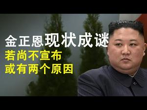 金正恩现状成谜,若尚未宣布则是因为这两件事;说说中国历史上几个不宣布情况的故事(政论天下第156集 20200427)天亮时分