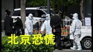 上海民怨沸腾！北京突然抢菜。政治局委员遭市民痛斥。李克强要求讲真话！喊饿的复旦教授评说乌克兰。乌东激战，乌军全歼俄军一个营