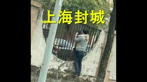 上海封城，市民喊饿！乌军反击，俄第一坦克军全军复没！普京策动乌东入俄公投。点明他下台，拜登并非口误