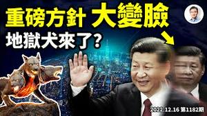 重磅，中央经济工作会议再现大反转！一二三城市房价齐跌，麻烦大；地狱犬病毒杀到？（文昭谈古论今20221216第1182期）