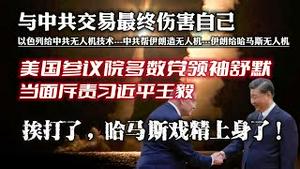 与中共交易最终伤害自己，以色列给中共无人机技术、中共帮伊朗造无人机、伊朗给哈马斯无人机。美国叁议院多数党领袖舒默当面斥责习近平王杀。挨打了，哈马斯戏精上身了！2023.10.09NO2018