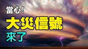 🔥🔥不寻常❗竹子遍地开花、北京四月飘雪 ❗当心！大灾就在眼前❗