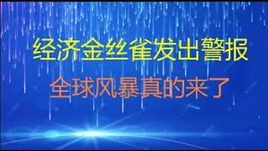 财经冷眼：金丝雀发出警报，全球资产价格风暴真的要来？（20210830第612期）