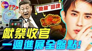全运会诡异「鱼龙」 习近平亲自收官献ji？灵媒指证：是他把于朦胧推下去！一款男同App牵出中南海「凶手」？灵媒：2026年春，命运将还回公道！#真飞 #真观点