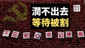 没收护照！公务员和国企干部被限制出境！俄罗斯提前为中国做示范？中共集权体制割韭菜的100种方法...