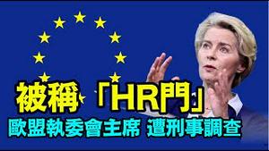 「在大家不许出门的时候 她把欧洲国民都那个了 ⋯ $200亿欧元」No.05（04/02/24）