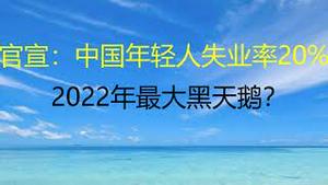 财经冷眼：年轻人失业率超20% ，2022年最大黑天鹅？（20220117第713期）