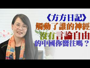 【第16期】《方方日记》触碰了谁的神经？《方方日记》海外出版丢了谁的脸？除了可以自由骂好人，没有言论自由的中共国你向往吗？| 薇羽看世间 20200416