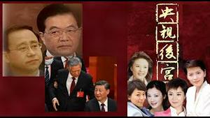 封疆大吏去上海为什么选了陈吉宁?央视是谁演变成中南海后宫的?《建民论推墙1808》