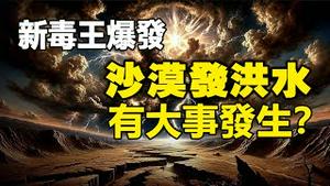 🔥🔥新毒王爆发❗中国最大沙漠发洪水❗北京惊现一异象❗又要发生什么事❓