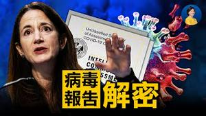 白宫解密溯源报告摘要，美情报机构查到了什么？最新突变最大毒株出现，已传入中国！全民打疫苗会带来不可知后果吗？| 唐靖远 林晓旭 | 热点互动 方菲 08/30/2021