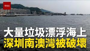 深圳南澳海边出现大量垃圾，海水污染致鱼群死亡，再这样下去，深圳的碧海蓝天不复存在