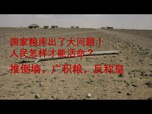 国家粮食储备出大问题！民众怎样才能活命？推倒墙，广积粮，反称皇（一平论政40）